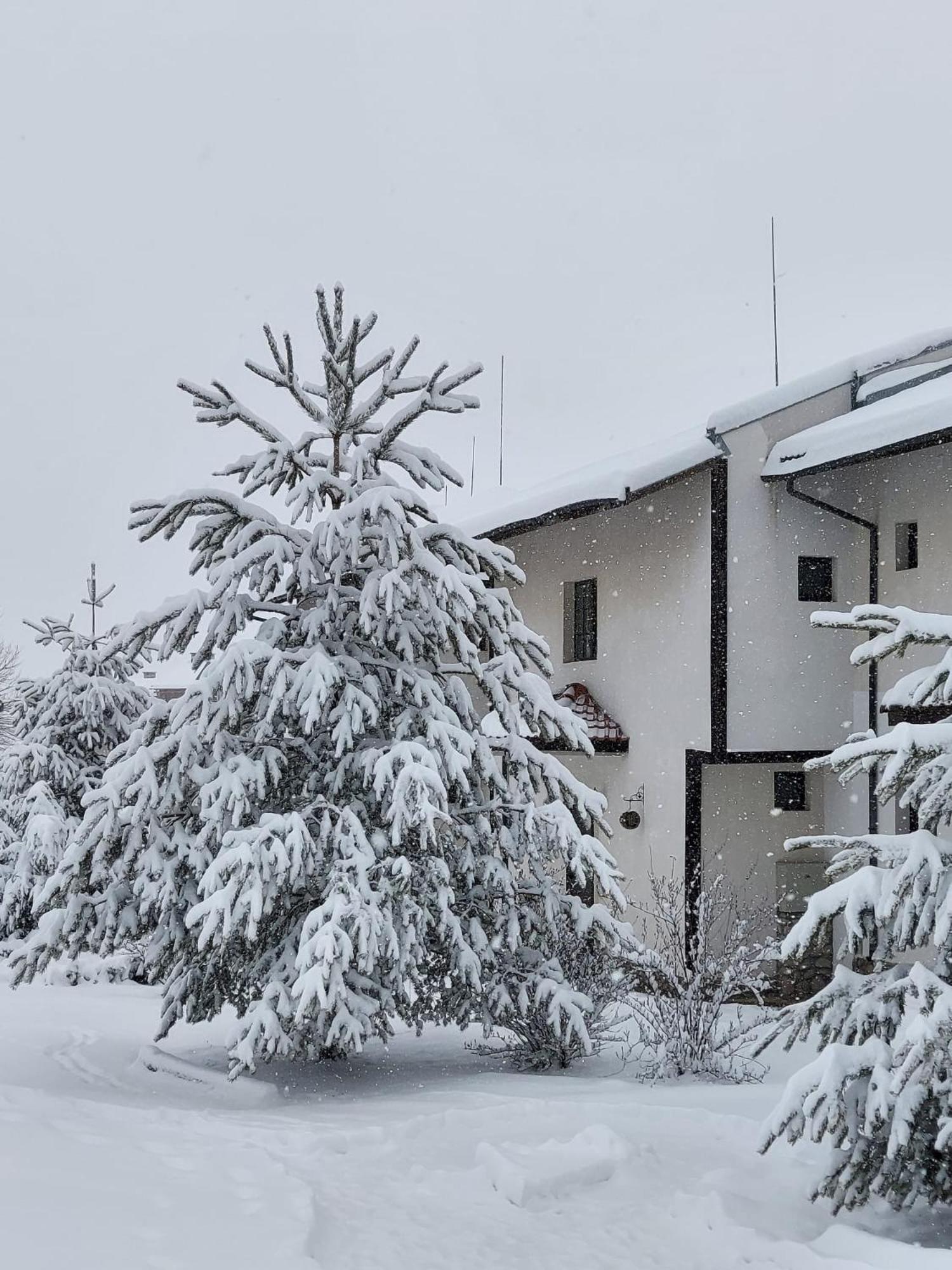 Pinerose Resort バンスコ エクステリア 写真